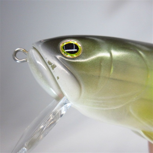 ダウズスイマー２２０ＳＦ